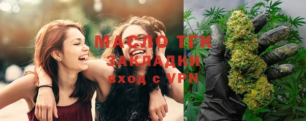 прущие грибы Аркадак