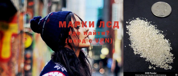 прущие грибы Аркадак
